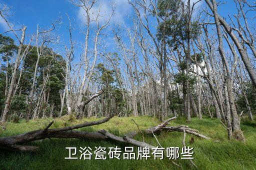  衛(wèi)浴瓷磚品牌有哪些