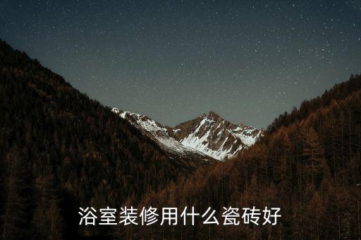 衛(wèi)浴地板磚圖片大全,地板磚顏色大全圖片 最流行