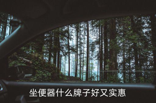 坐便器什么牌子好又實惠