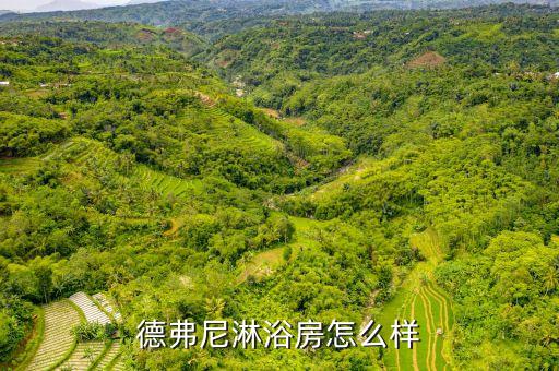 德弗尼淋浴房怎么樣