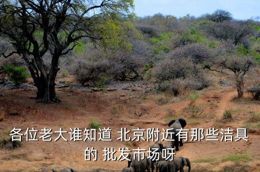 各位老大誰知道 北京附近有那些潔具的 批發(fā)市場(chǎng)呀