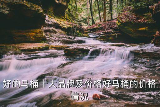 好的馬桶十大品牌及價(jià)格好馬桶的價(jià)格情況