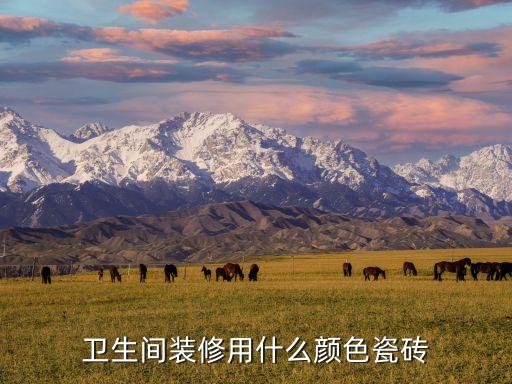 衛(wèi)生間裝修用什么顏色瓷磚
