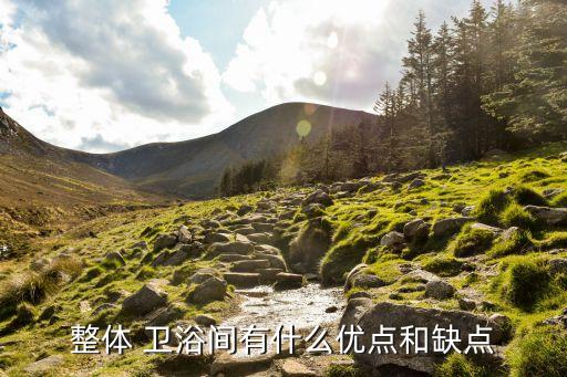 整體 衛(wèi)浴間有什么優(yōu)點(diǎn)和缺點(diǎn)