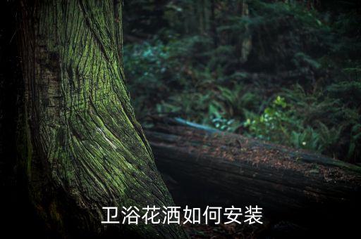 衛(wèi)浴調(diào)溫閥門尺寸圖片