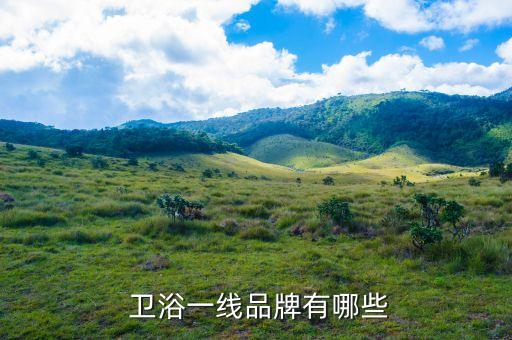  衛(wèi)浴一線品牌有哪些