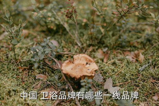中國(guó) 衛(wèi)浴品牌有哪些一線品牌