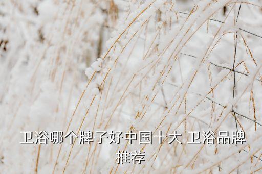 紹興整體衛(wèi)浴怎么選擇品牌