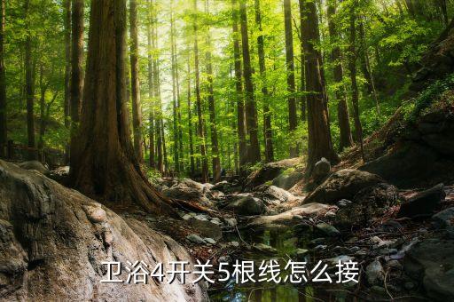 衛(wèi)浴4開關(guān)5根線怎么接