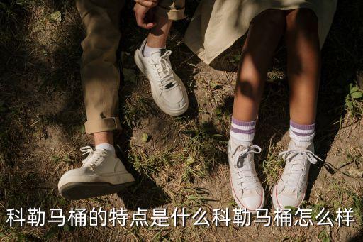 科勒馬桶的特點(diǎn)是什么科勒馬桶怎么樣