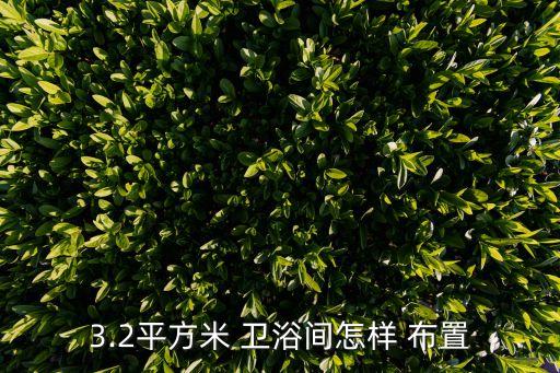 3.2平方米 衛(wèi)浴間怎樣 布置