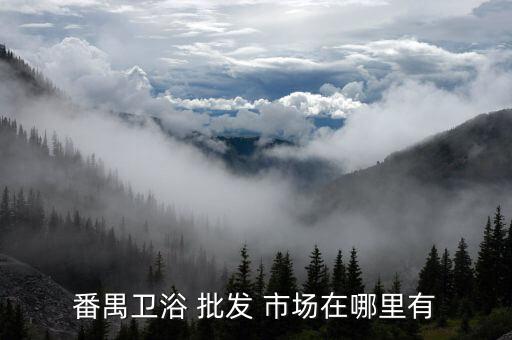 番禺衛(wèi)浴 批發(fā) 市場(chǎng)在哪里有