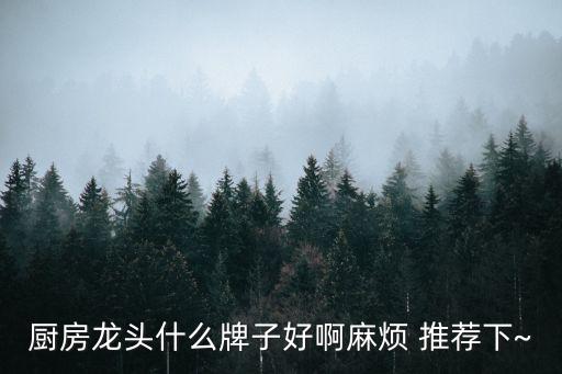 廚房龍頭什么牌子好啊麻煩 推薦下~