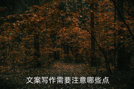  文案寫(xiě)作需要注意哪些點(diǎn)