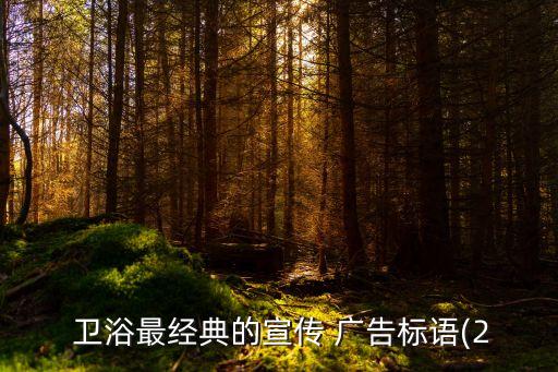  衛(wèi)浴最經(jīng)典的宣傳 廣告標(biāo)語(yǔ)(2