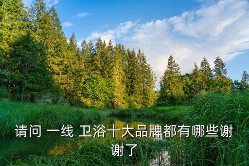請問 一線 衛(wèi)浴十大品牌都有哪些謝謝了