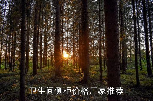衛(wèi)生間側(cè)柜價(jià)格廠家推薦