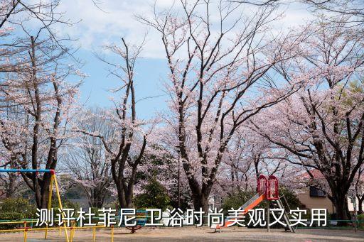 測(cè)評(píng)杜菲尼 衛(wèi)浴時(shí)尚美觀又實(shí)用