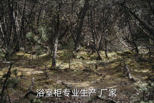 浴室柜專(zhuān)業(yè)生產(chǎn) 廠家