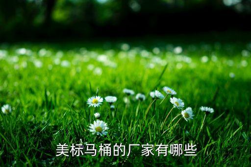  美標(biāo)馬桶的廠家有哪些