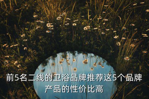前5名二線的衛(wèi)浴品牌推薦這5個(gè)品牌產(chǎn)品的性價(jià)比高