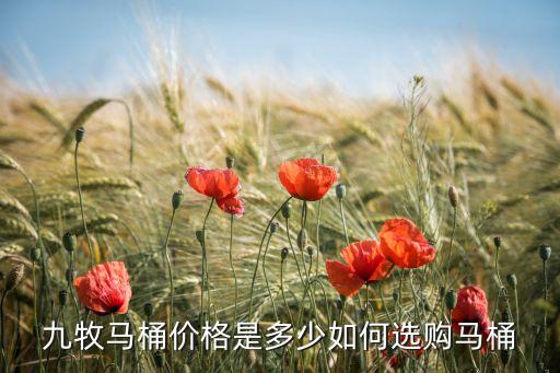 南川區(qū)九牧衛(wèi)浴電話多少,九牧衛(wèi)浴400電話