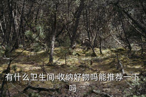 轉(zhuǎn)角衛(wèi)浴收納架圖片欣賞