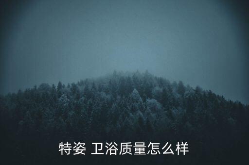特姿 衛(wèi)浴質(zhì)量怎么樣