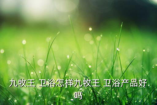 九牧王 衛(wèi)浴怎樣九牧王 衛(wèi)浴產(chǎn)品好嗎