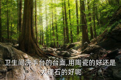 大理石衛(wèi)浴地板圖片,電梯大理石地板圖片