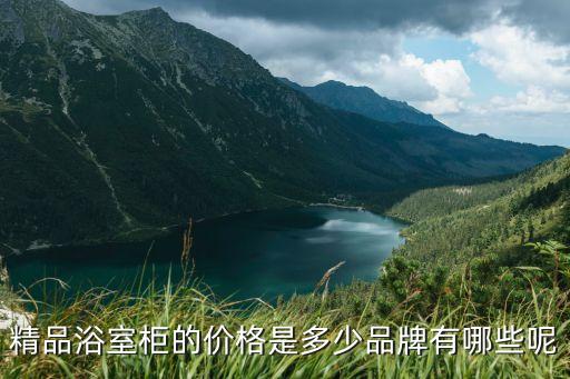 精品浴室柜的價格是多少品牌有哪些呢