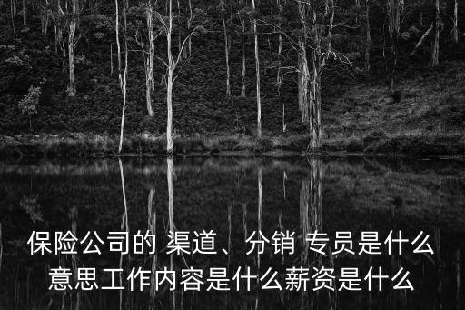 保險公司的 渠道、分銷 專員是什么意思工作內(nèi)容是什么薪資是什么