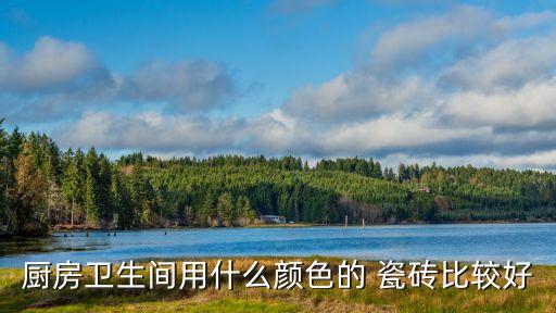 高級感衛(wèi)浴間瓷磚搭配圖片