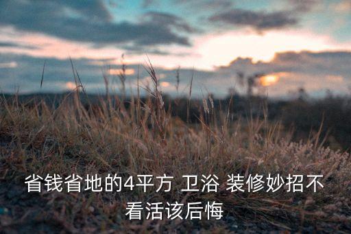 省錢省地的4平方 衛(wèi)浴 裝修妙招不看活該后悔