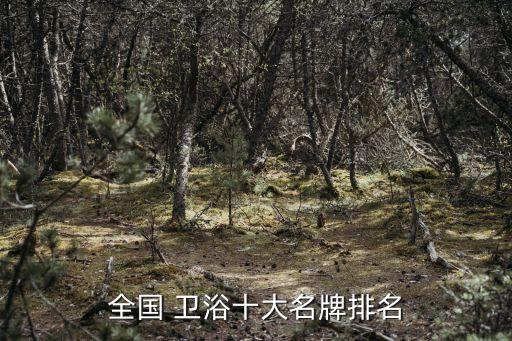 整體衛(wèi)浴品牌哪家耐用,什么衛(wèi)浴品牌經(jīng)濟(jì)耐用