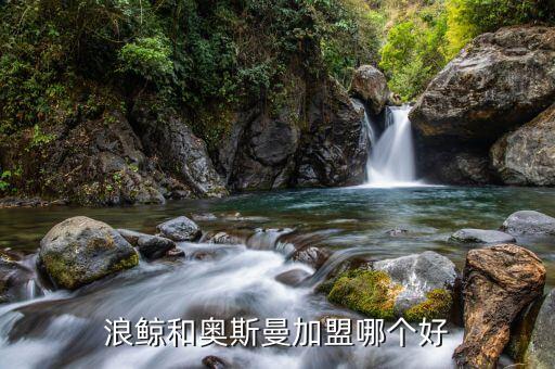 智能衛(wèi)浴加盟品牌排行,衛(wèi)浴加盟什么品牌好