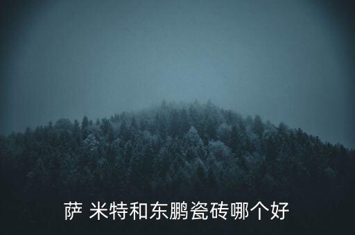 薩 米特和東鵬瓷磚哪個好