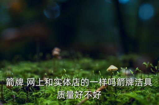 箭牌 網(wǎng)上和實(shí)體店的一樣嗎箭牌潔具質(zhì)量好不好