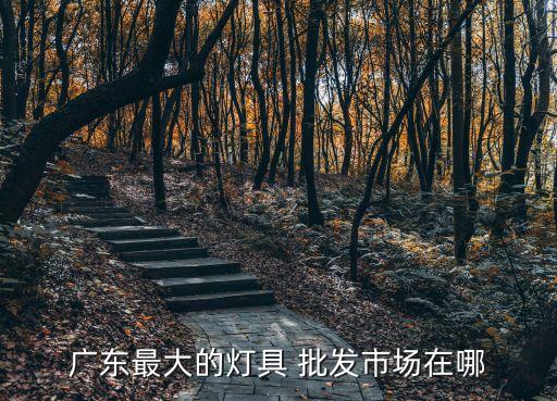 廣東最大的燈具 批發(fā)市場在哪