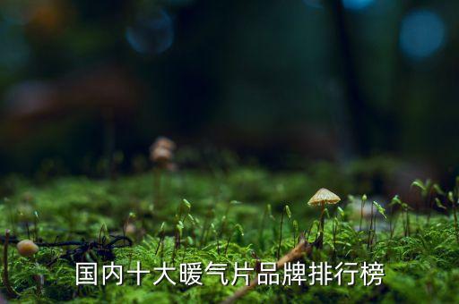 國(guó)內(nèi)十大暖氣片品牌排行榜