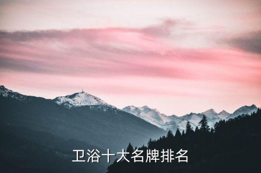 浪鯨和箭牌衛(wèi)浴是一線品牌嗎