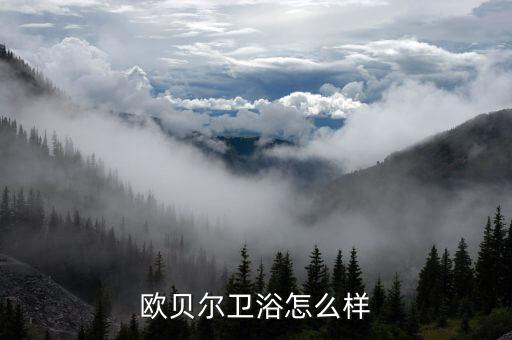歐貝爾衛(wèi)浴怎么樣