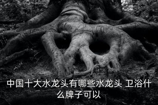 中國十大水龍頭有哪些水龍頭 衛(wèi)浴什么牌子可以