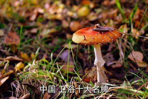 衛(wèi)浴整套品牌有哪些名字,中國十大衛(wèi)浴品牌有哪些