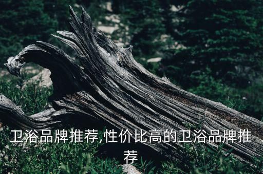 三亞衛(wèi)浴品牌推薦,性價(jià)比高的衛(wèi)浴品牌推薦