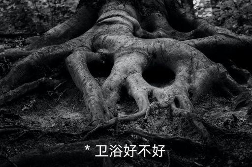 * 衛(wèi)浴好不好
