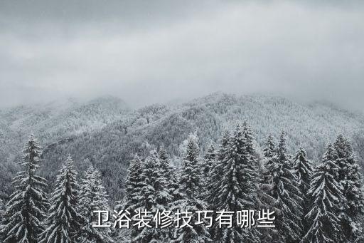  衛(wèi)浴裝修技巧有哪些