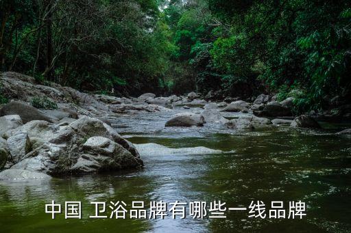 中國(guó) 衛(wèi)浴品牌有哪些一線品牌