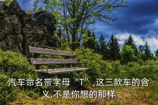 汽車命名帶字母“T”,這三款車的含義,不是你想的那樣