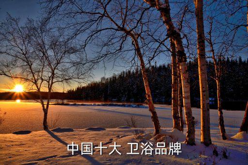 中國十大 衛(wèi)浴品牌